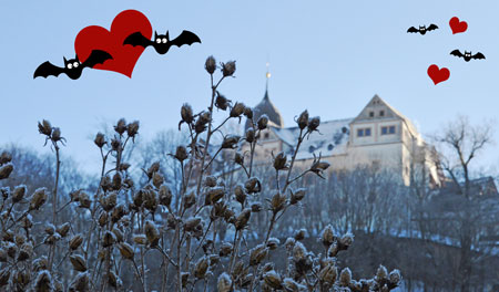 Das Bild zeigt Schloss Rochsburg im Winter, leicht verschneit. Animierte Fledermäuse und Herzen sind auf dem Foto oberhalb des Schlosses eingefügt.