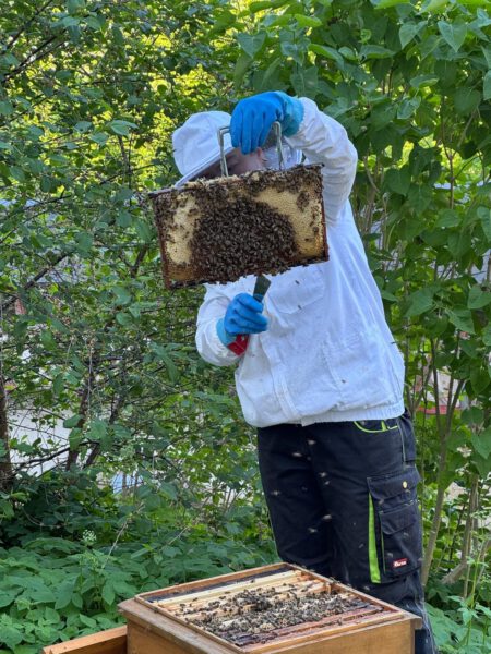 Imkerin mit Rochsburger Burgbienen auf Schloss Rochsburg