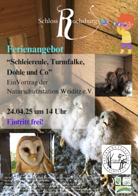 Das Bild zeigt ein Plakat zur Veranstaltung. Neben dem Titel und Datum sind auch Bilder von Schleiereulen und Turmfalkenküken im Einsatz.