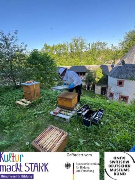 Imkerin schaut in einen Bienenkasten. Sie hebt den Deckel an. Ein paar Bienen schwirren in der Luft. Im Hintergrund der Wehrgang und das Torwächterhäuschen von Schloss Rochsburg.